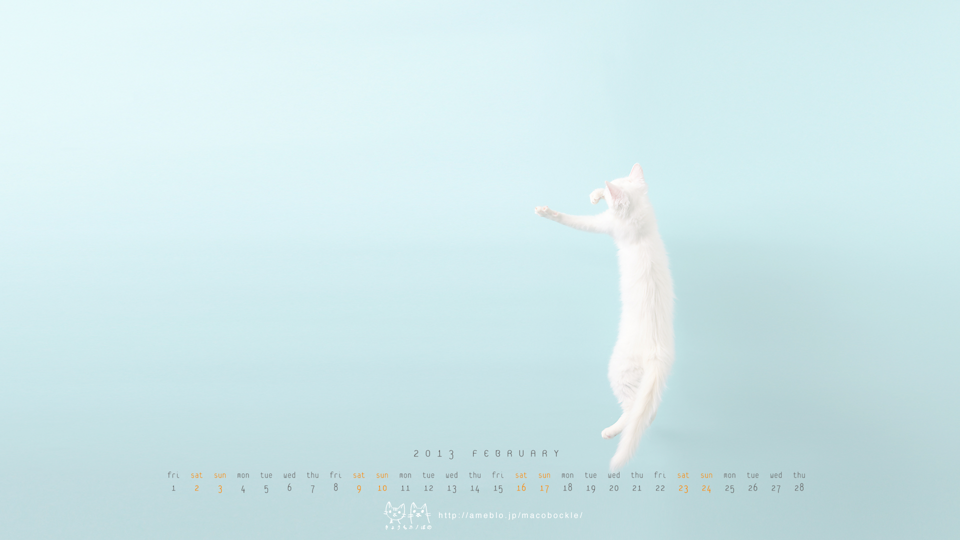 13年2月のデスクトップ壁紙 カレンダー ぼのジャンプ Hono And Bono きょうもホノぼの サバトラ ホノ 白猫 ぼの の猫姉妹と飼主夫婦のほのぼのな日々