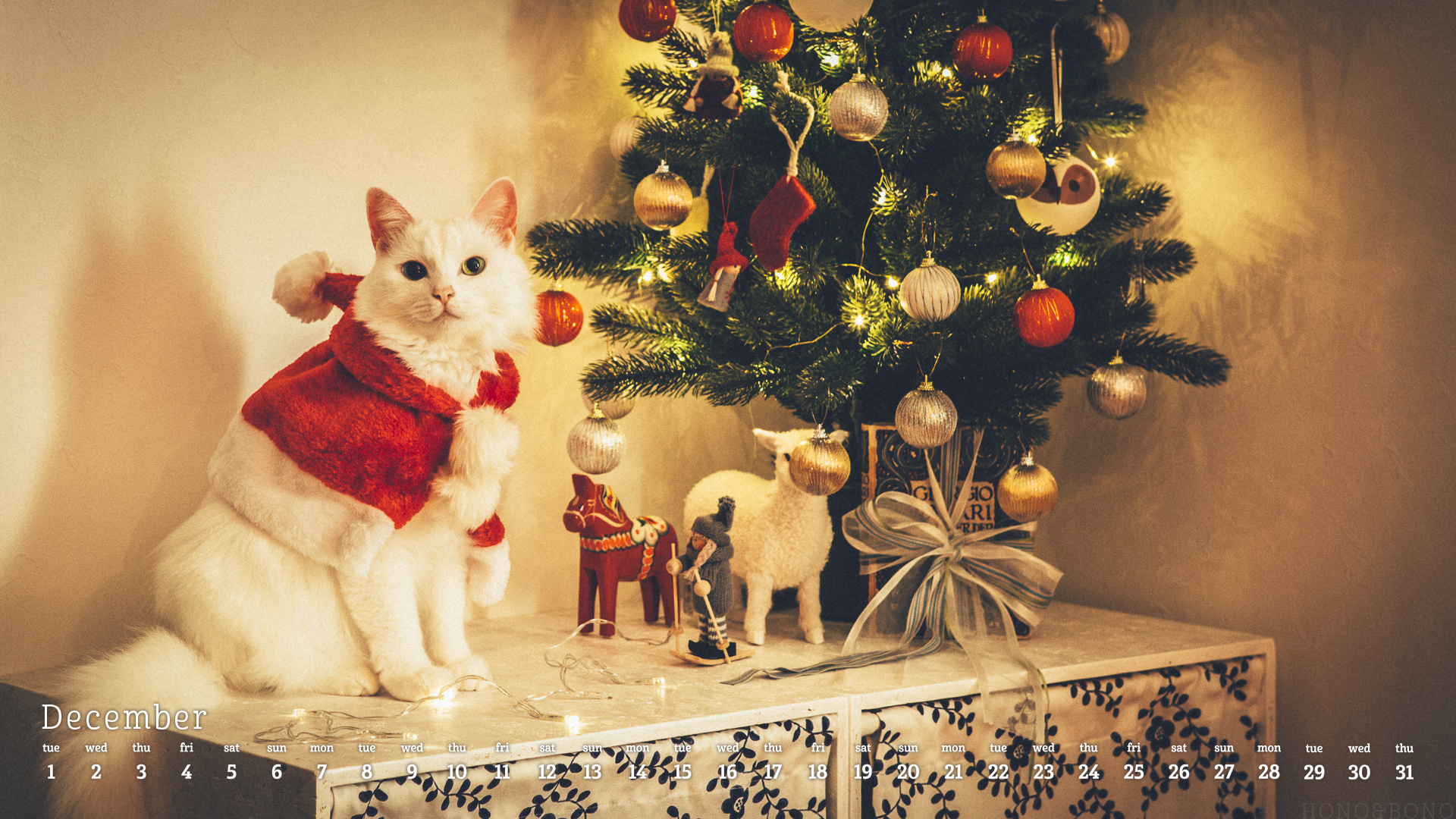 15年12月のデスクトップ壁紙 カレンダー Hono And Bono きょうもホノぼの サバトラ ホノ 白猫 ぼの の猫姉妹と飼主夫婦のほのぼのな日々