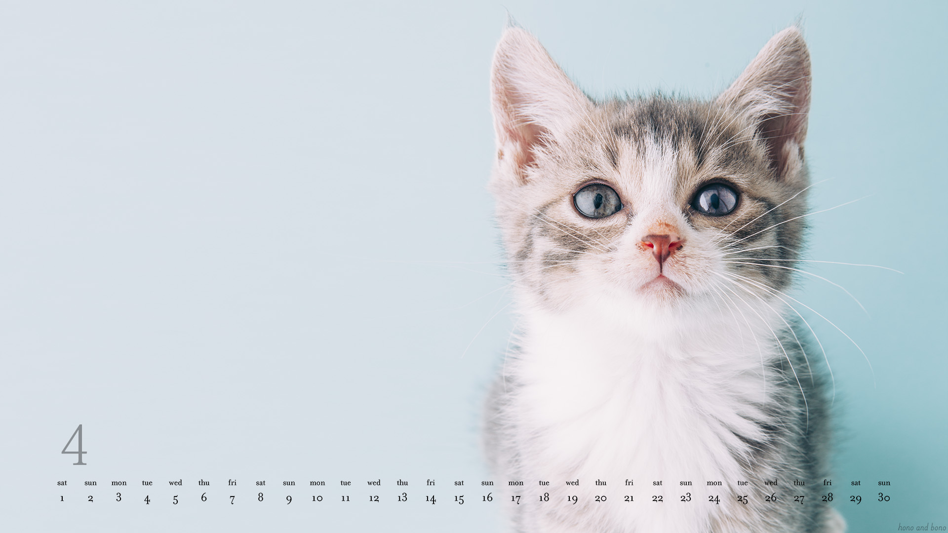２０１７年４月のデスクトップ壁紙 カレンダー Hono And Bono きょうもホノぼの サバトラ ホノ 白猫 ぼの の猫姉妹と飼主夫婦のほのぼのな日々